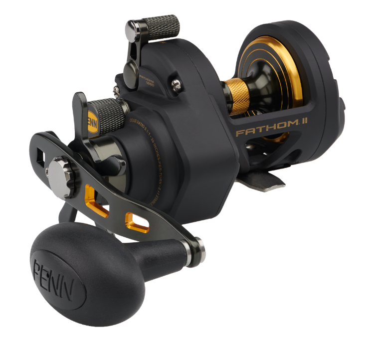 Penn Fathom LD II Silver Overhead Reel
